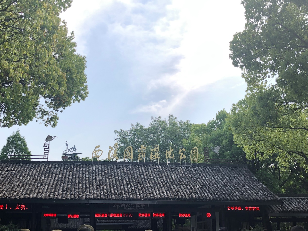 C:\Users\chjin\Desktop\宋城、西溪照片\西溪6.jpg